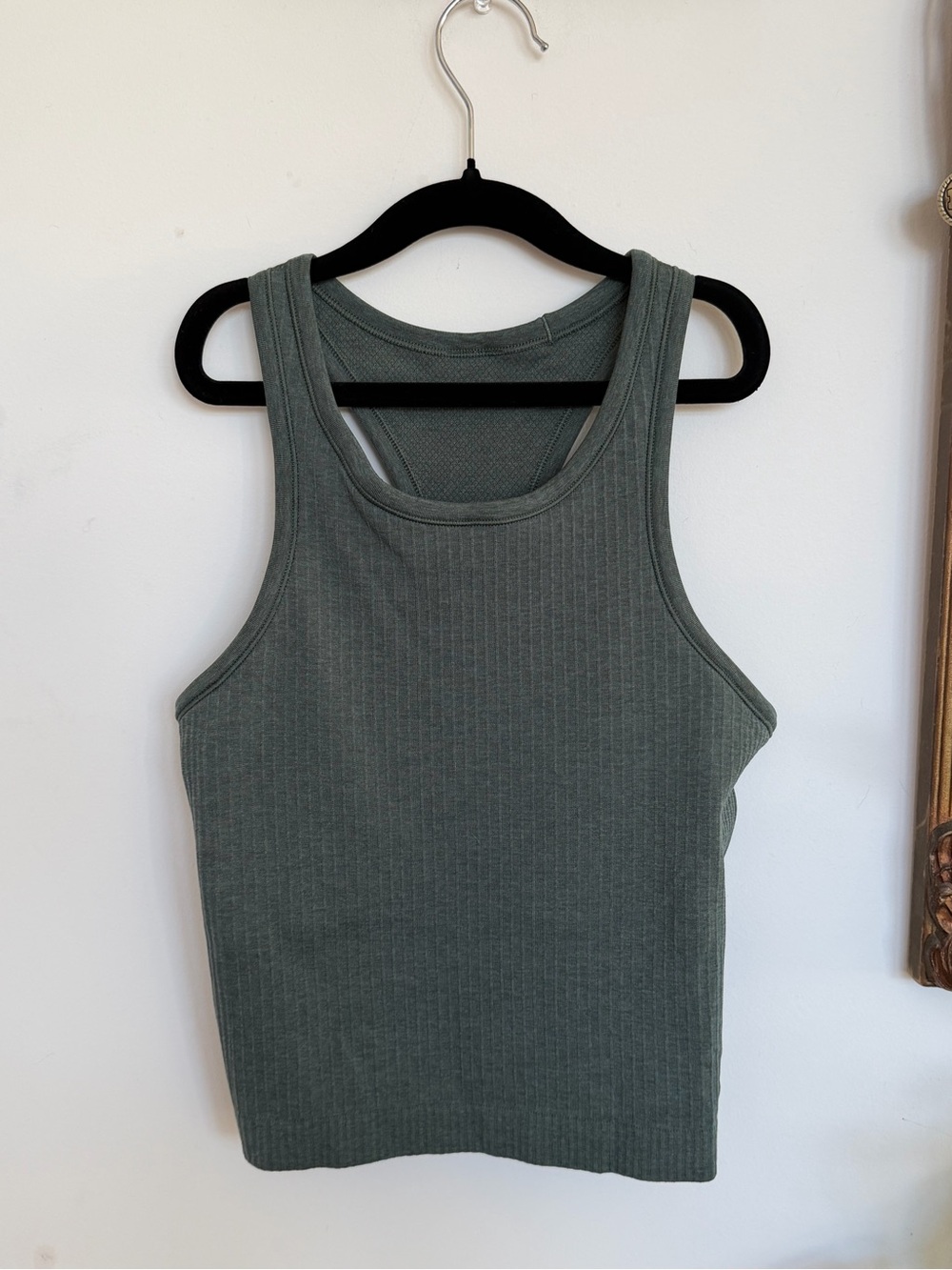 Ebb to Street Cropped Tank - dark forest